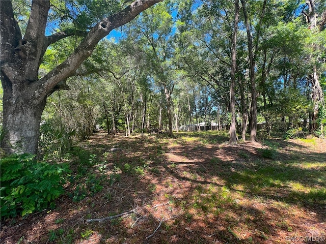 3965 E Walker St, Inverness FL, 34453 land for sale