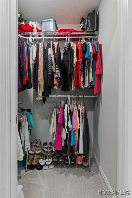 2880 N Folkestone Loop, Hernando, FL 34442 - spacious closet with carpet flooring