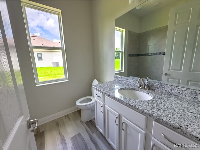 bathroom featuring vanity, hardwood / wood-style flooring, and toilet