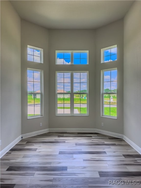 empty room with plenty of natural light and light hardwood / wood-style floors