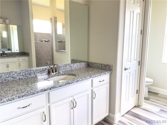 bathroom with hardwood / wood-style floors, vanity, and toilet