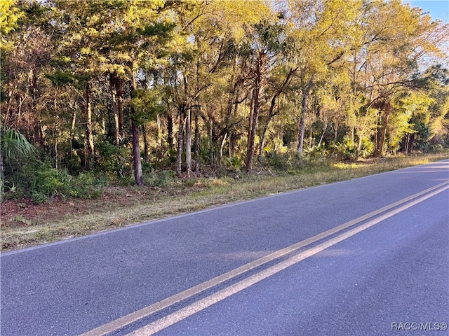 0 SE Hammock Rd, Inglis FL, 34449 land for sale