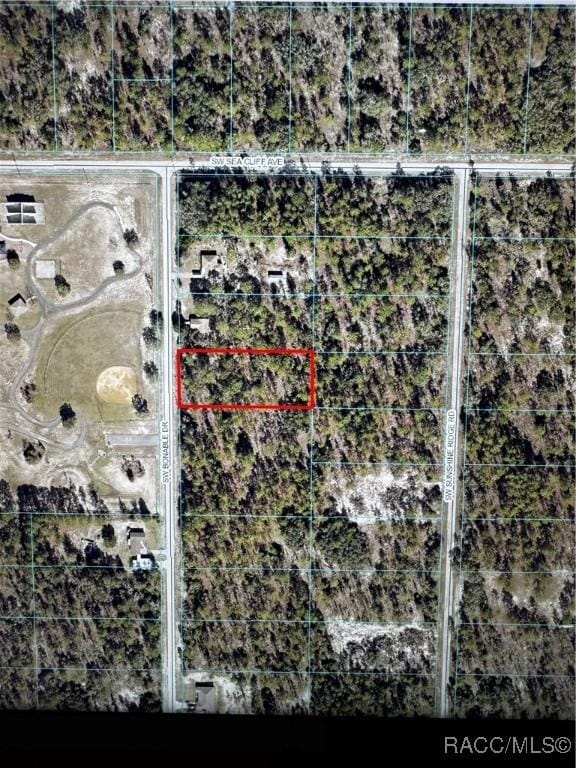 Listing photo 3 for 00 SW Bonable Dr, Dunnellon FL 34431