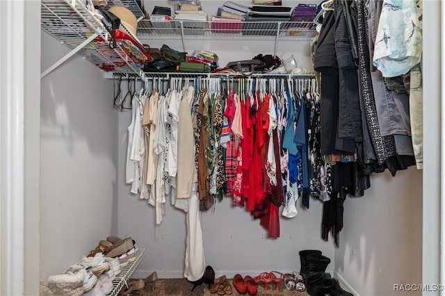 view of spacious closet