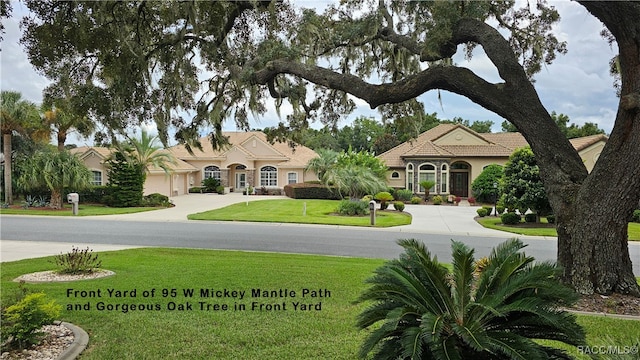 view of front of house with a front yard