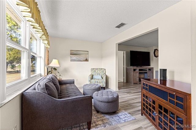 living room with a wealth of natural light, a textured ceiling, and light wood-type flooring