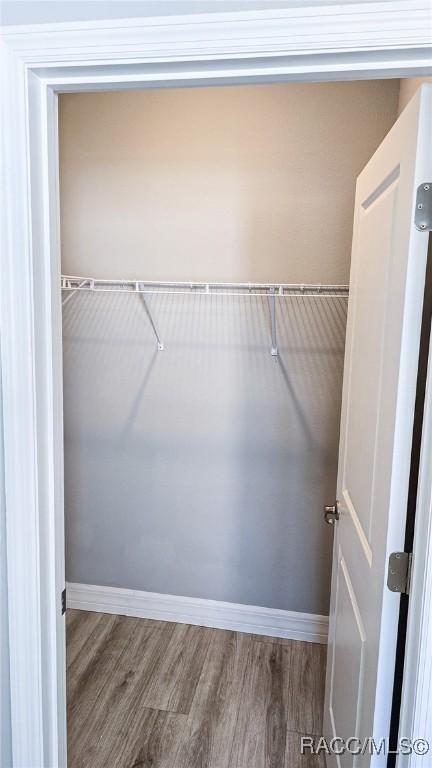 spacious closet with hardwood / wood-style flooring