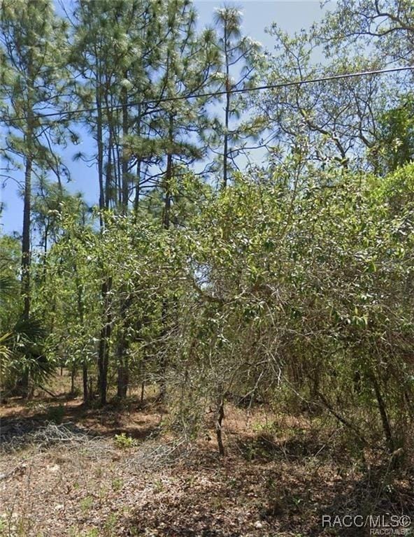 5250 W Starburst Ln, Homosassa, FL 34446