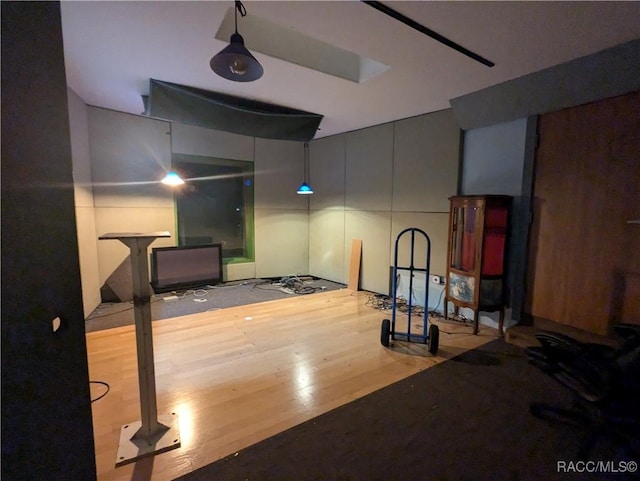 workout room featuring hardwood / wood-style floors