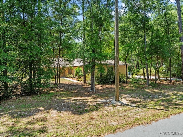 7634 N Hargrove Pt, Crystal River, FL 34428 - view of yard