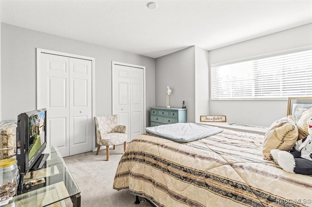 bedroom with two closets and light carpet