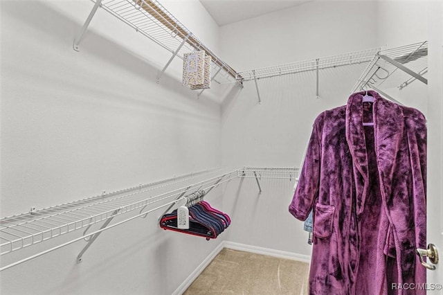 spacious closet with carpet flooring