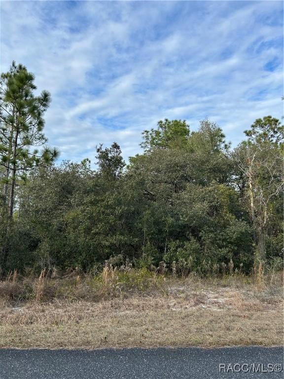 TBD SW Huckleberry Ln, Dunnellon FL, 34431 land for sale