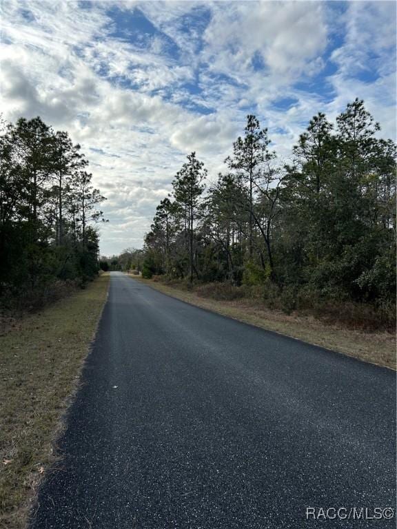 Listing photo 2 for TBD SW Huckleberry Ln, Dunnellon FL 34431