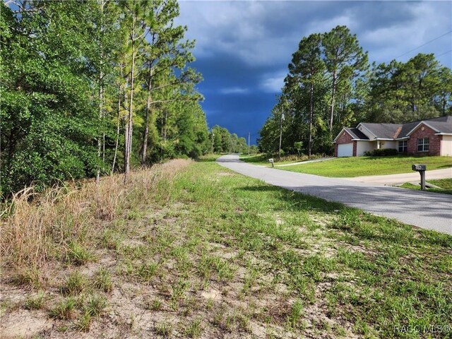 11107 N Mataro Ave, Citrus Springs, FL 34434 - photo 5