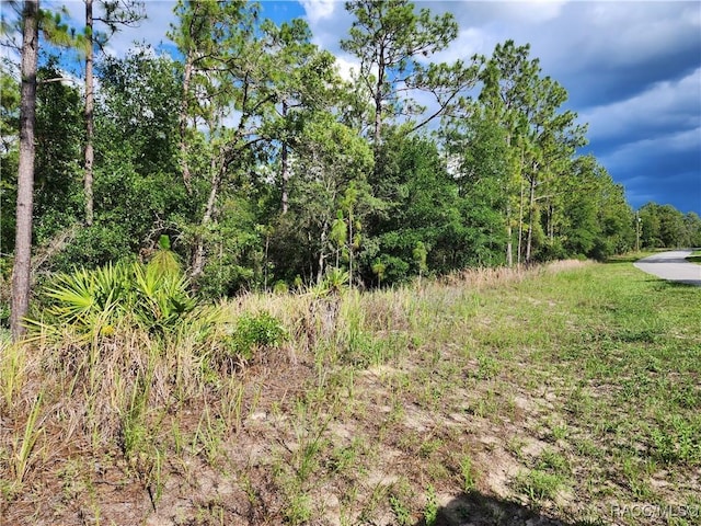 11107 N Mataro Ave, Citrus Springs, FL 34434 - photo 2