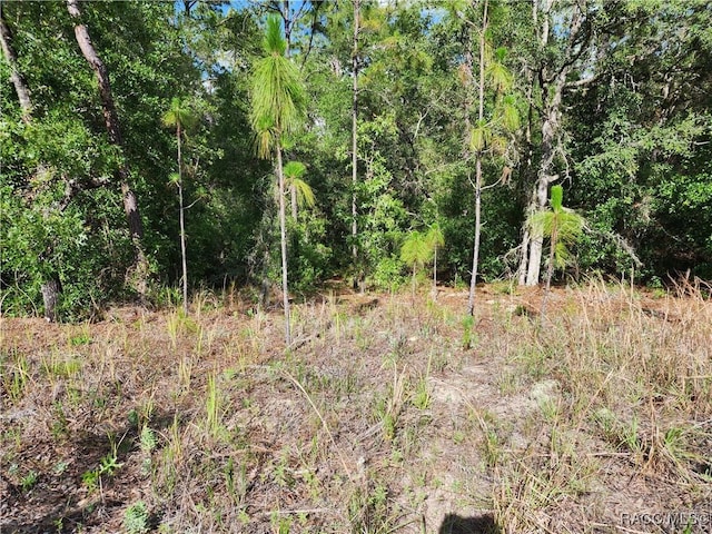 11107 N Mataro Ave, Citrus Springs, FL 34434 - photo 3