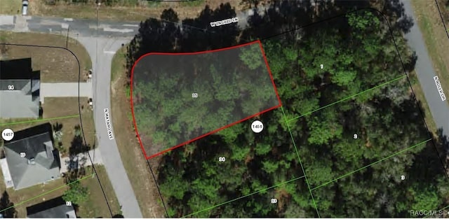 11107 N Mataro Ave, Citrus Springs, FL 34434 - photo 10
