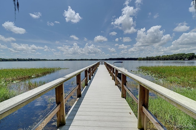 dock area with a water view