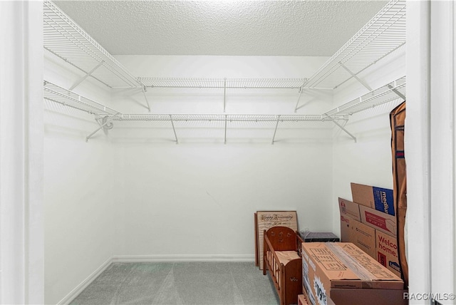 spacious closet with carpet floors