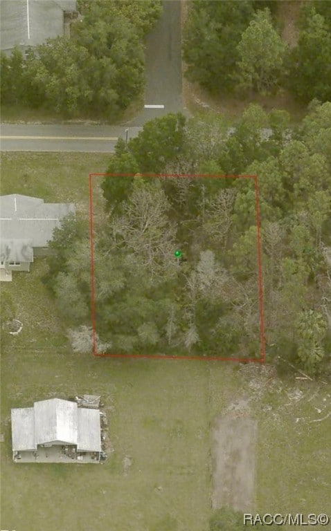 8534 W Basilico St, Crystal River FL, 34428 land for sale