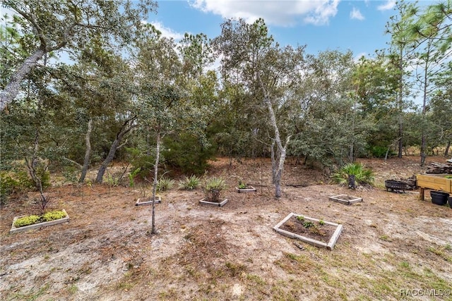 776 W Horizon Ln, Citrus Springs, FL 34434 - view of yard