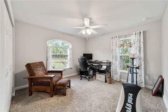776 W Horizon Ln, Citrus Springs, FL 34434 - carpeted home office with a ceiling fan and baseboards