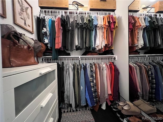 view of spacious closet