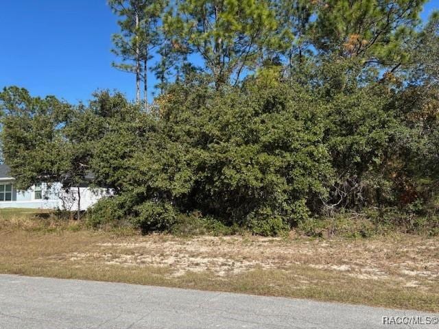 Listing photo 2 for 0 SW 65th Avenue Rd, Ocala FL 34473