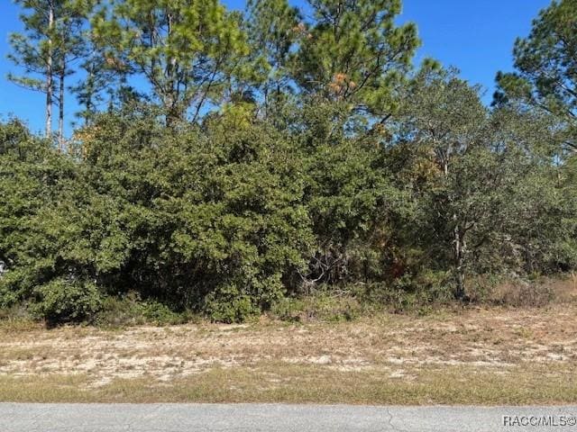 0 SW 65th Avenue Rd, Ocala FL, 34473 land for sale