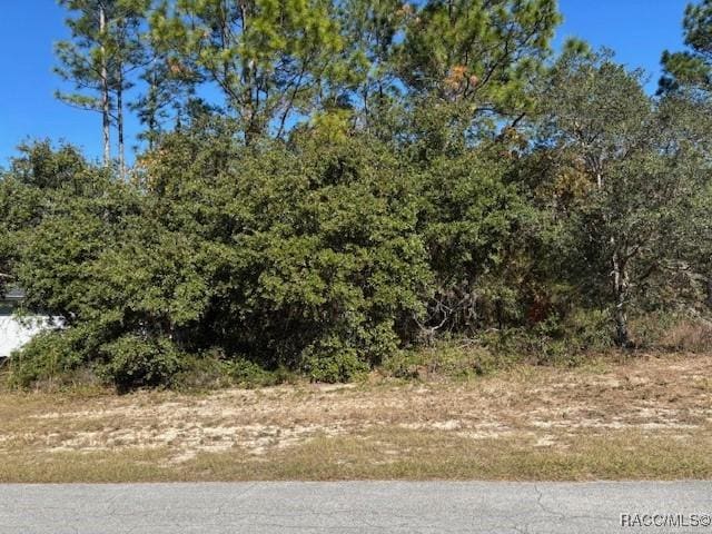 Listing photo 3 for 0 SW 65th Avenue Rd, Ocala FL 34473