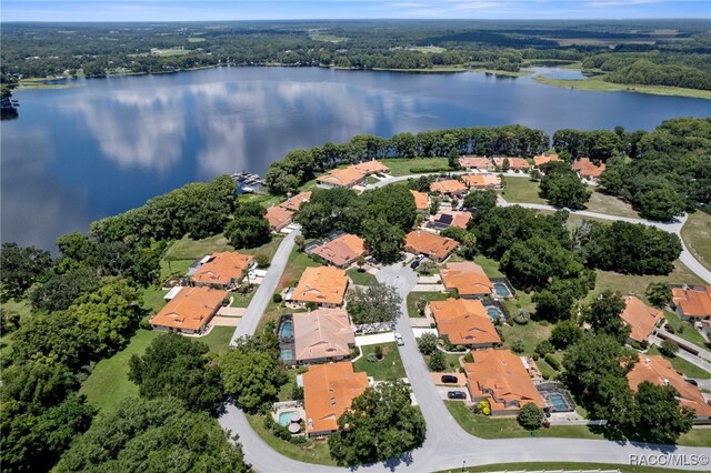 503 Palma Ceia Pt, Inverness, FL 34450 - photo 46