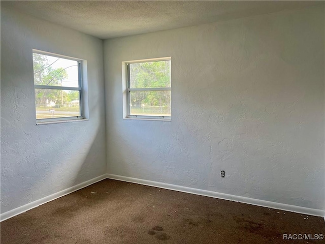 1029 NE 24th St, Ocala, FL 34470 - unfurnished room with baseboards, carpet, a textured wall, and a healthy amount of sunlight