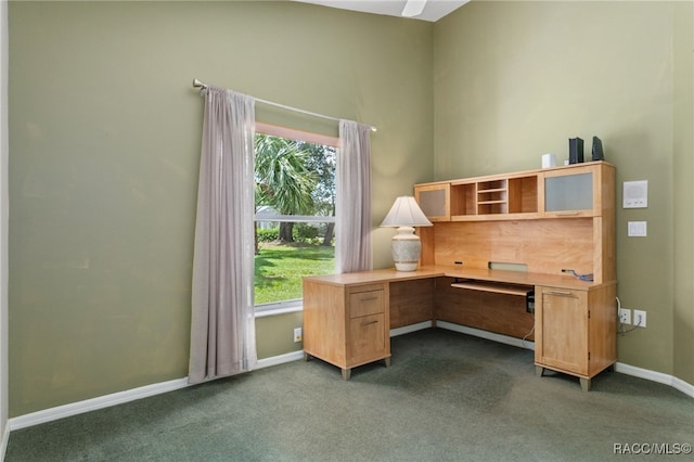 3252 N Sherlock Pt, Hernando, FL 34442 - photo 49
