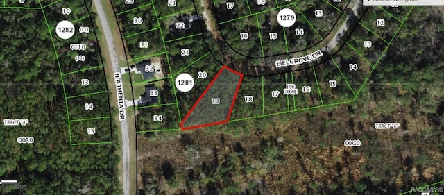 598 E Elgrove Dr, Citrus Springs FL, 34434 land for sale