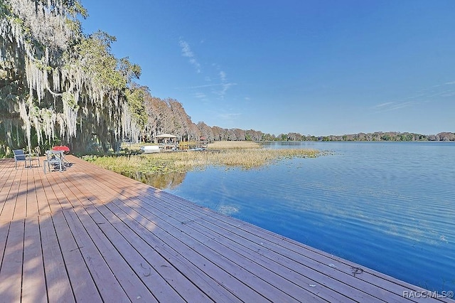 view of dock featuring a water view