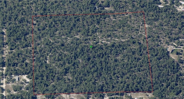 6496 N Bernzott Pt, Dunnellon, FL 34433 - photo 5