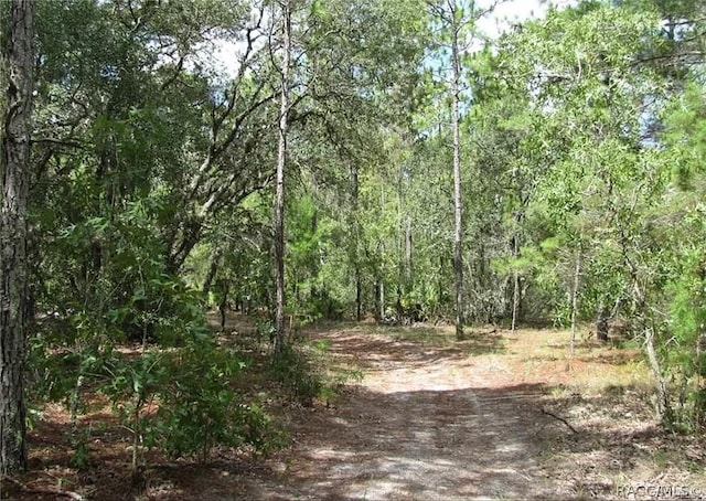 6496 N Bernzott Pt, Dunnellon, FL 34433 - photo 11