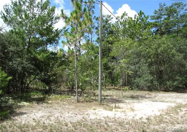 6496 N Bernzott Pt, Dunnellon, FL 34433 - photo 17