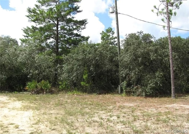 6496 N Bernzott Pt, Dunnellon, FL 34433 - photo 18