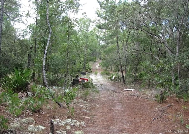 6496 N Bernzott Pt, Dunnellon, FL 34433 - photo 14