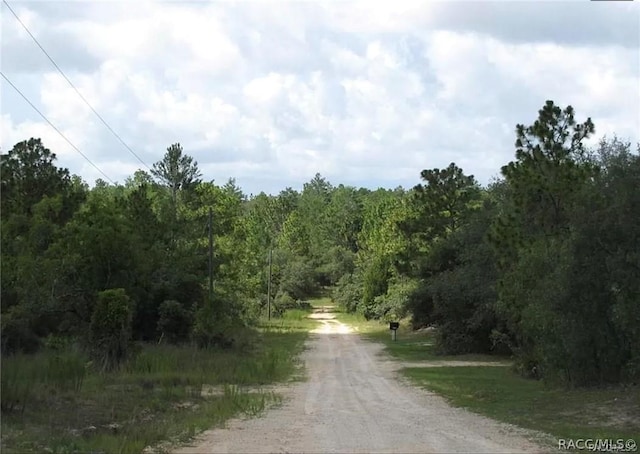 6496 N Bernzott Pt, Dunnellon, FL 34433 - photo 9