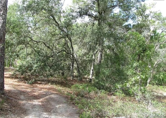 6496 N Bernzott Pt, Dunnellon, FL 34433 - photo 12