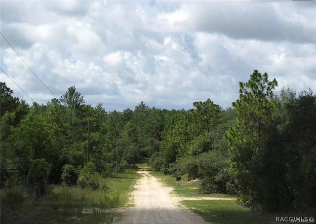 6496 N Bernzott Pt, Dunnellon, FL 34433 - photo 10