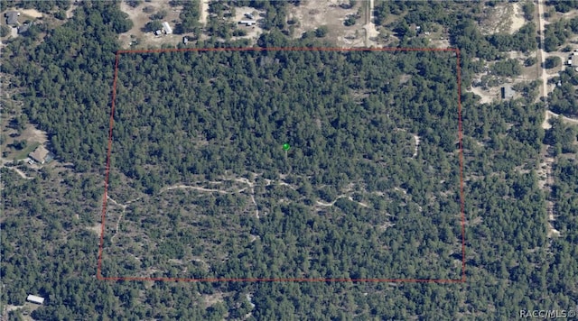 6496 N Bernzott Pt, Dunnellon, FL 34433 - photo 4