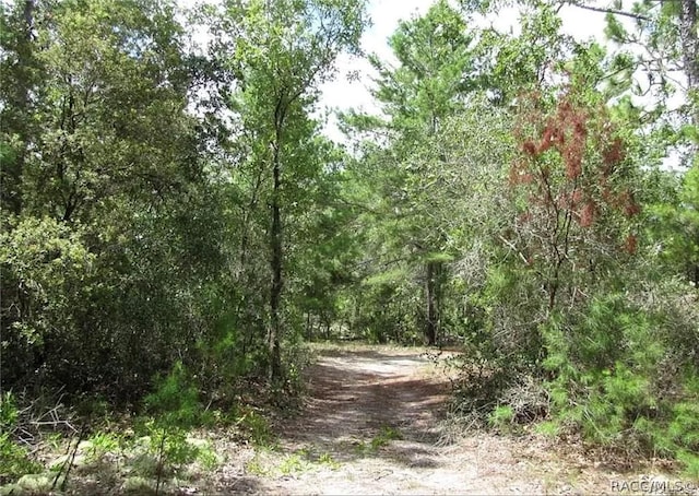 6496 N Bernzott Pt, Dunnellon, FL 34433 - photo 7
