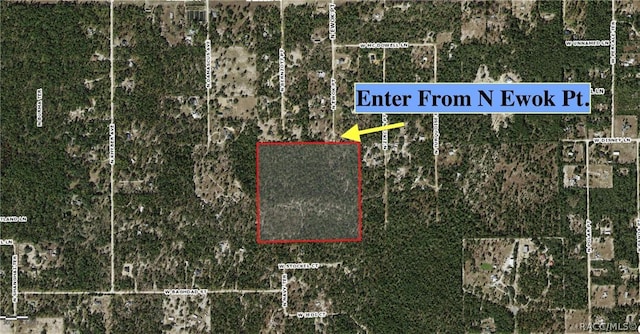 6496 N Bernzott Pt, Dunnellon, FL 34433 - photo 2