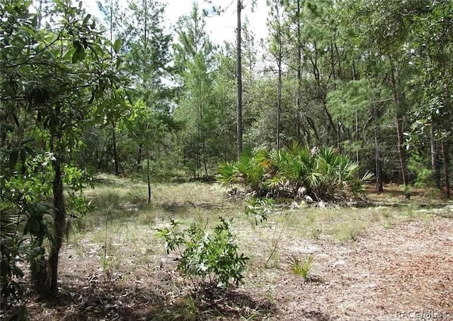 6496 N Bernzott Pt, Dunnellon, FL 34433 - photo 13