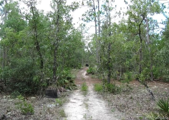 6496 N Bernzott Pt, Dunnellon, FL 34433 - photo 15