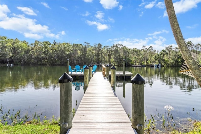 view of dock with a water view